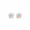 Boucles fleur libellule fond blanc